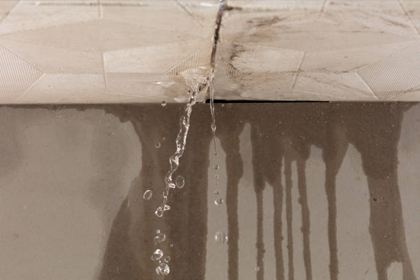 Professional Sewage Cleanup technician working in Crump, TN